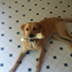 Meet your Posher, Shawnna